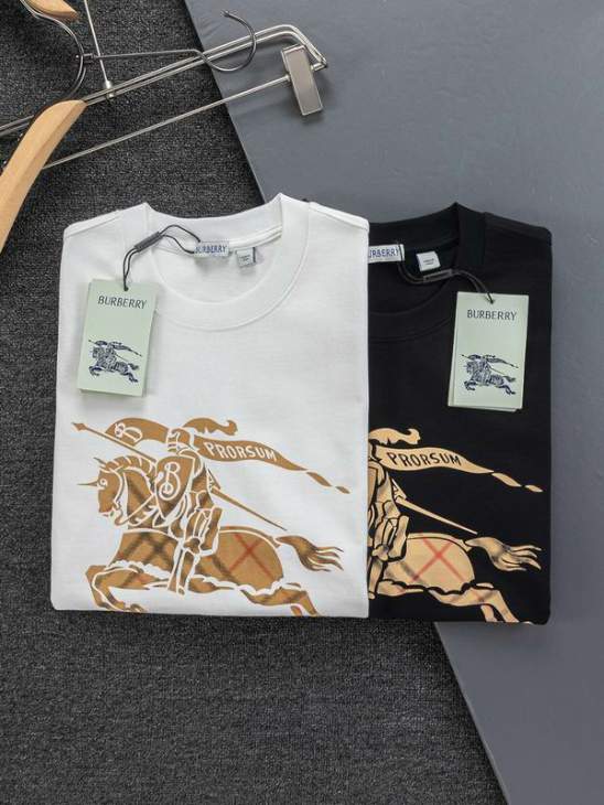 Picture of Burberry T Shirts Short _SKUBurberryS-XLxetr10719441